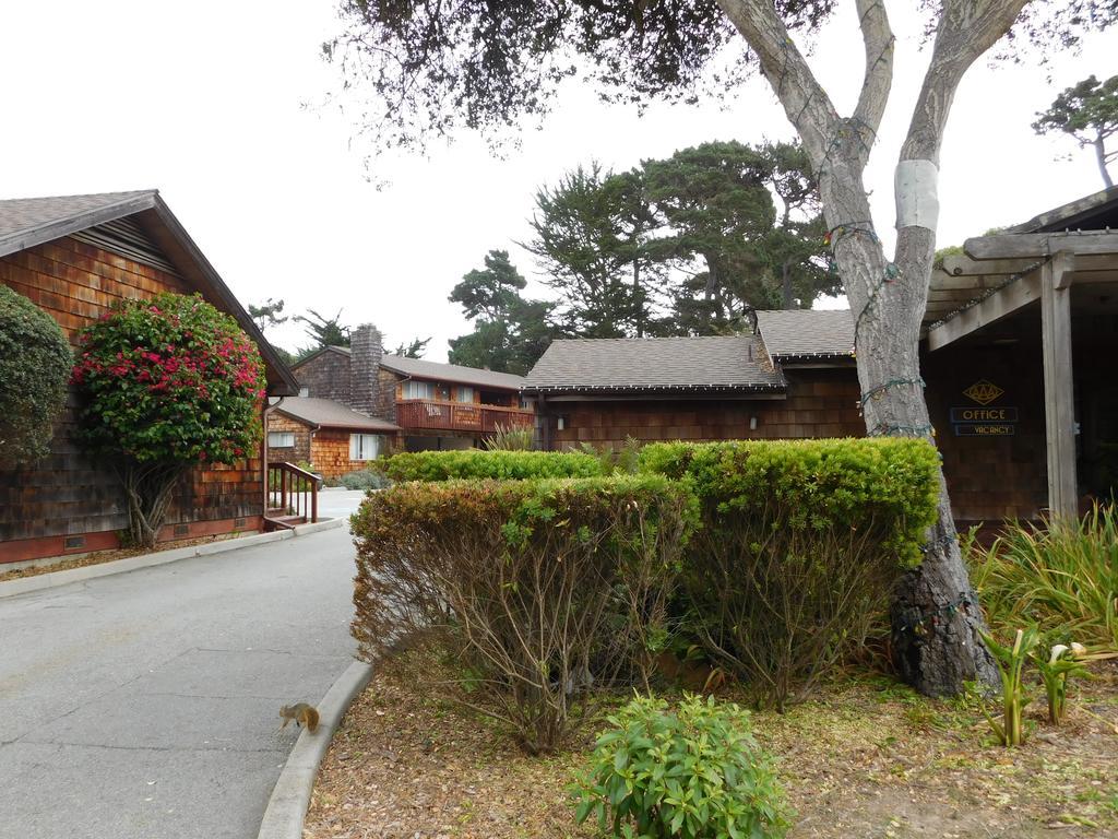 Pacific Gardens