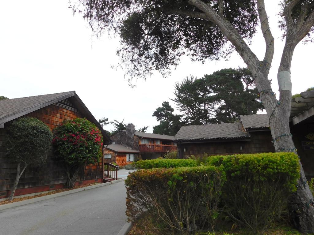 Bed and breakfast Pacific Gardens 3*